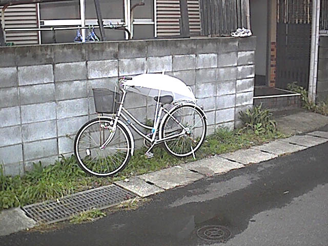 雨上り