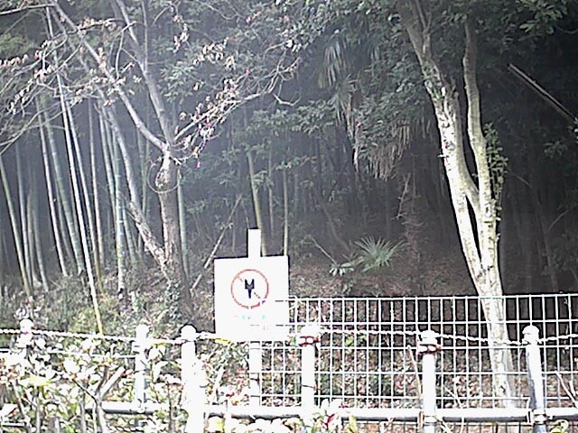 立入禁止