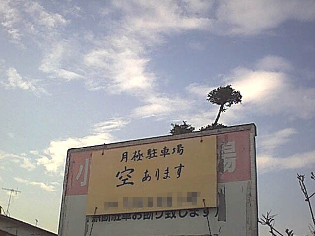 新　空あります