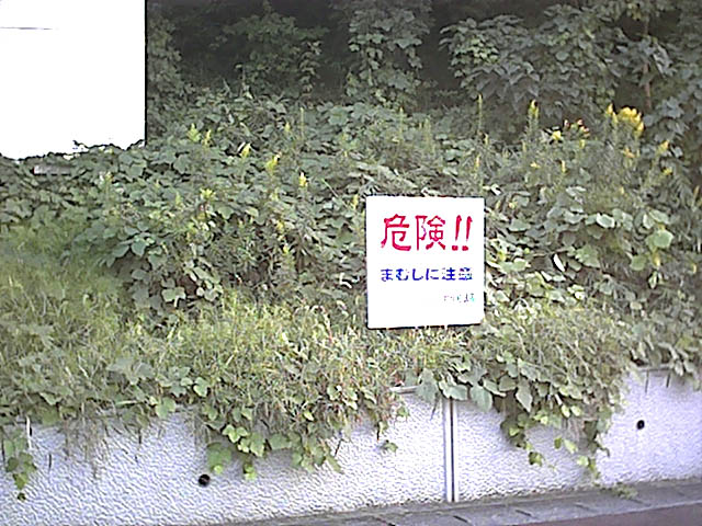 いまだに…