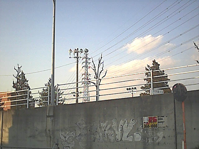 賑やか
