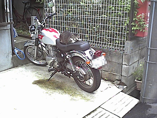 バイク好き