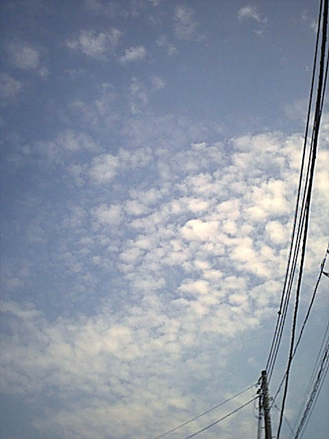 秋の雲