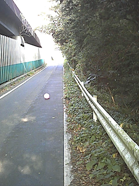 堕ちていた風船