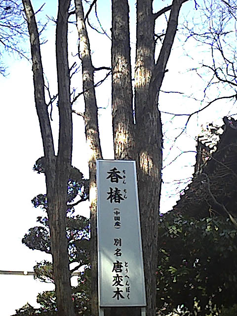自画像